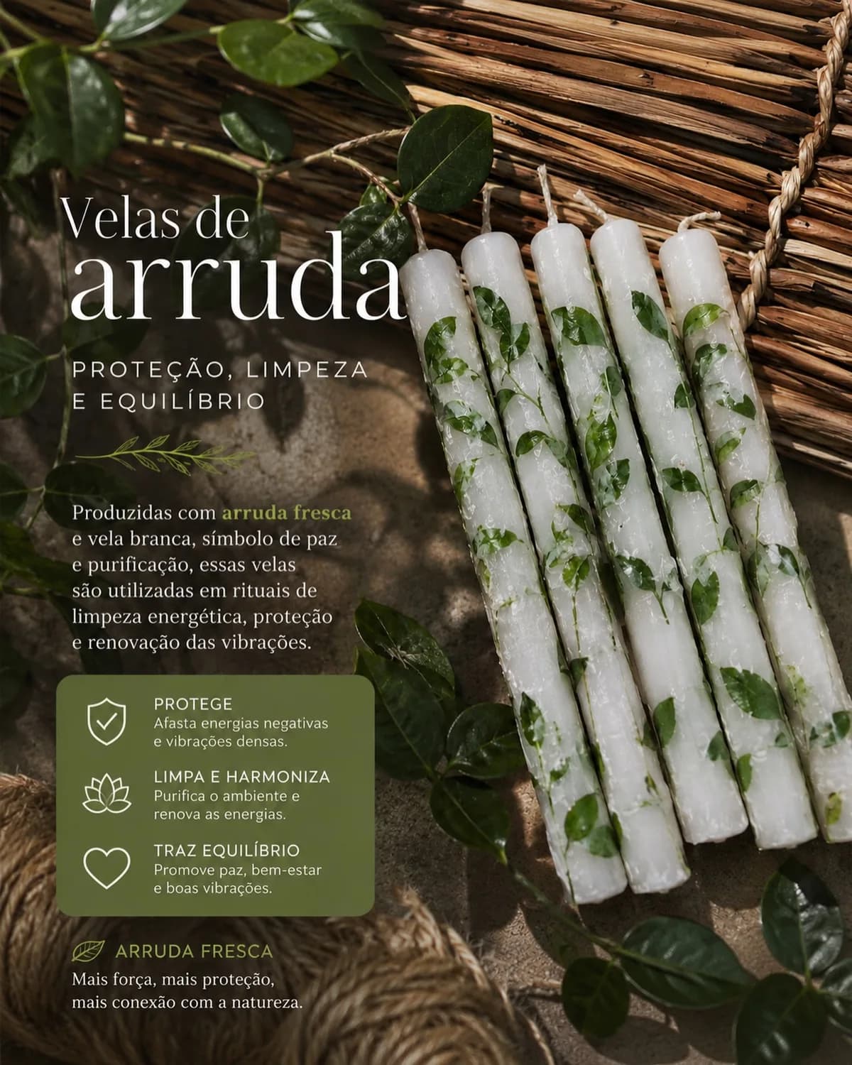 Vela palito de arruda fresca